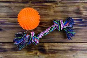 Best Indoor Cat Toys for Exercise Review