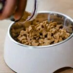 How to make homemade dog food