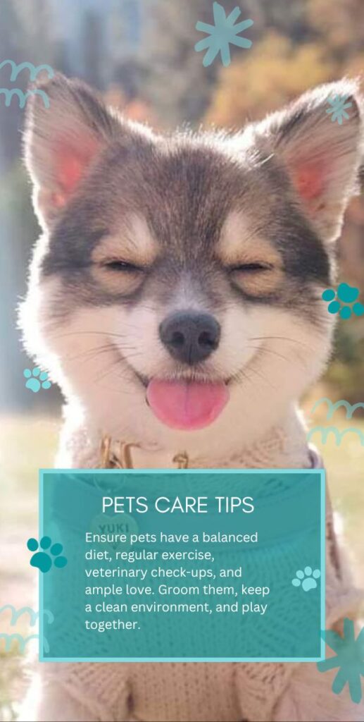 pets care tips