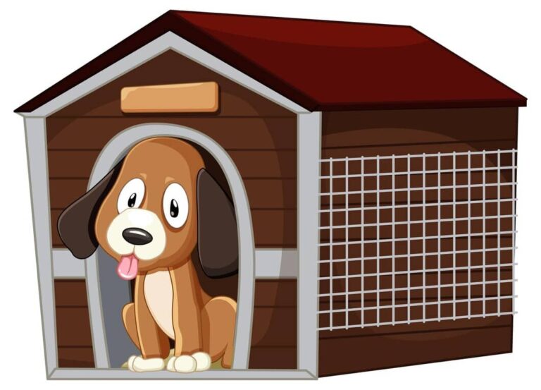 Are Outdoor Kennels Good for Dogs